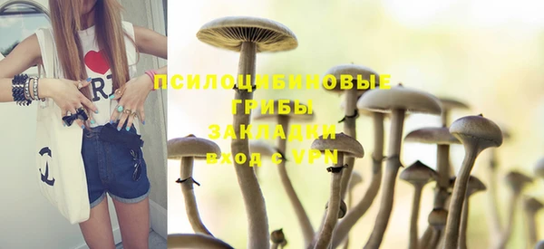 таблы Ладушкин