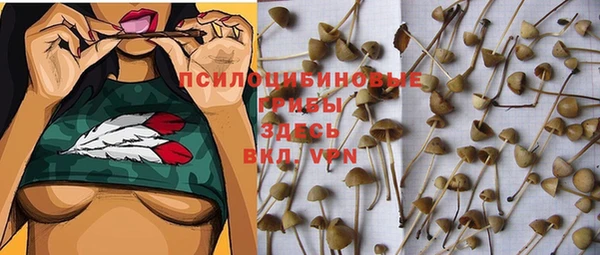 Альфа ПВП Лагань