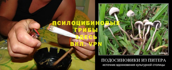 Альфа ПВП Лагань
