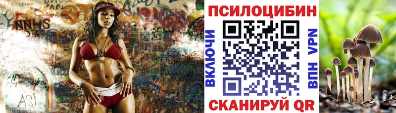 где продают наркотики  Городище  Псилоцибиновые грибы Cubensis 